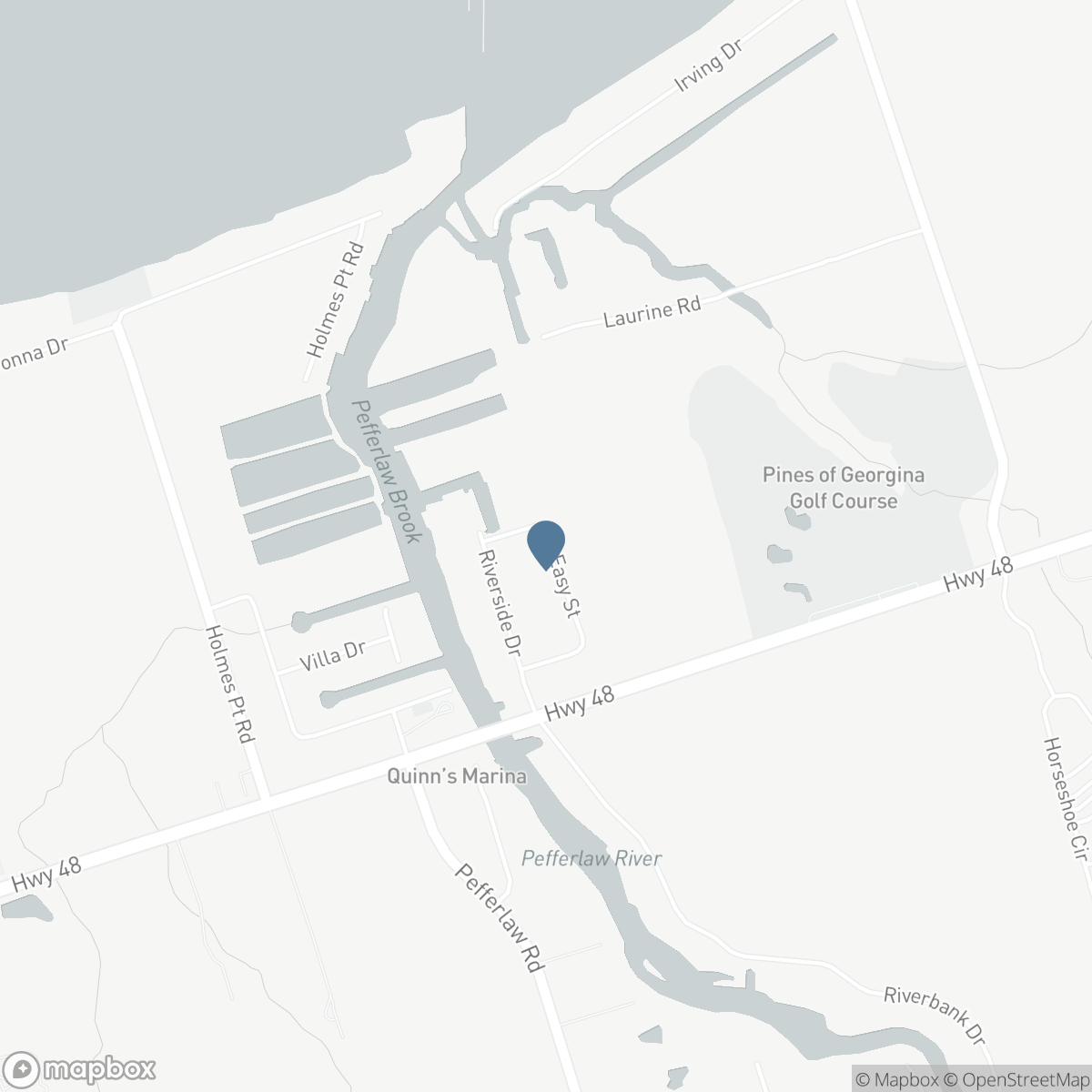 47 EASY STREET, Georgina, Ontario L0E 1N0
